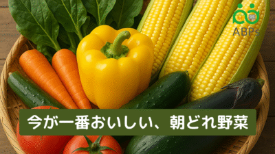 朝どれ野菜の特徴と、その理由とは？